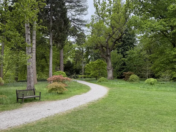 Sunlit park path through trees with a bench